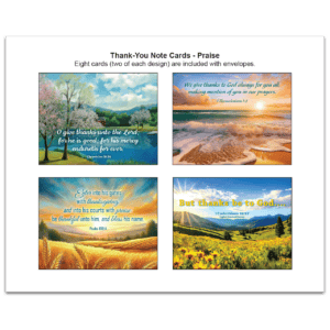 Thank You Note Cards