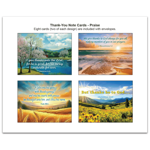 Thank You Note Cards